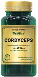 Cosmo Pharm CORDYCEPS Capsule, 3000 mg 30 capsule