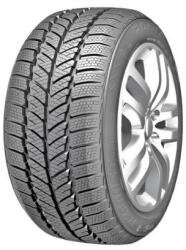 RoadX RxFrost WH01 205/45R16 87H XL (6959655446593) - anvelino