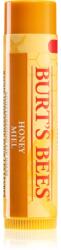 Burt's Bees Lip Balm Honey ajakbalzsam mézzel 4.25 g