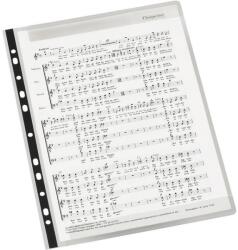 Viquel Vocalyz Adagio kottatartó fólia, lefűzhető, A4, 10 db (058810-06)
