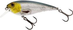  WESTIN Westin RAWBITE CRANKBAIT Floating 7cm/12g 3D Headlight
