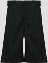 Dickies Pantaloni scurti și Bermuda Bărbați HEMP TWILL 13 INCH WORK SHORT BLACK Dickies Negru US 32