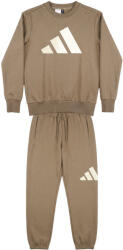 adidas Compleuri copii Fete Essentials Joggers Set Kids adidas Maro 13 / 14 ani