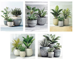 AdTrend Set 5 tablouri decorative olegrafie pe panza Flowers 3 x 15 x 20 cm, 2 x 25 x 25 cm (119614A)
