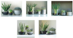 AdTrend Set 5 tablouri decorative olegrafie pe panza Flowers II 3 x 15 x 20 cm, 2 x 25 x 25 cm (119614B)