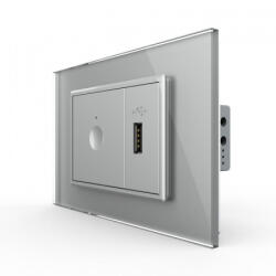 LIVOLO Intrerupator tactil simplu + priza USB, 3M, rama sticla, Livolo (VL-FC1-FCUS-2AP-P9E)