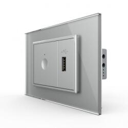 LIVOLO Intrerupator tactil simplu + priza USB, 3M, rama sticla, Livolo (VL-FC1-FCUS-2IP-P9E)
