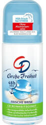 CD Antiperspirant, CD, 48 h, 50 ml (309959)
