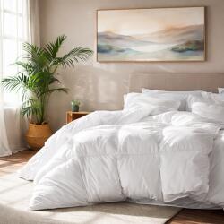 Kotonia Home Pilota matlasata Kotonia Home - vara, 180x200 cm, 200 g/mp, alba, 100% Microfibra, puf siliconizat (004329)