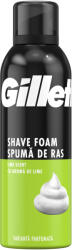 Gillette Spuma de ras Gillette Classic pentru barbati cu parfum de Lime, 200 ml (3014260228675)