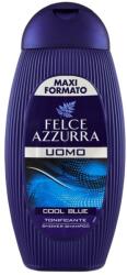 Felce Azzura Gel De Dus FELCE AZZURA Barbati COOL BLUE 400ml (IM99)