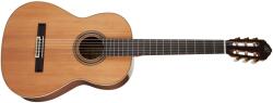 Ortega Guitars R20GWN - kytary