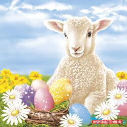 Húsvét Lamb szalvéta 20 db-os 33x33 cm (JAV_PKK765338)