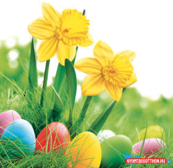 Húsvét Daffodils szalvéta 20 db-os 33x33 cm (JAV_PKK030145)