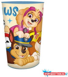 Mancs Őrjárat Future Leader műanyag pohár 250 ml (JAV_EWA19952PW)
