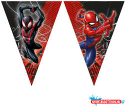 Pókember World of Webs zászlófüzér FSC 2, 3 m (JAV_PNN97318)