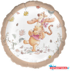 Disney Micimackó Pastel fólia lufi 43 cm (JAV_DPA9916005)