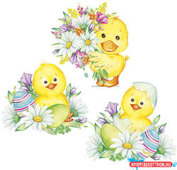 Húsvét Cute Chickens szalvéta 20 db-os 33x33 cm (JAV_PKK771100)