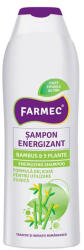 Farmec Sampon Energizant Bambus si 5 plante 400 ml, Farmec (FMC03967)