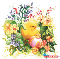 Húsvét Chicken szalvéta 20 db-os 33x33 cm (JAV_PKK022454)