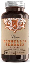 Focus Supplements Boswellia Serata, 2000 mg, 240 capsule, Focus Supplements