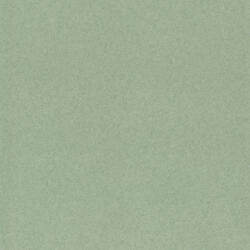 Tarkett Covor pvc eterogen verde inchis Tarkett pentru trafic intens Terra T7 (TKT-200231006) Covor
