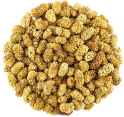 SvetPlodu Dud uscat - 7, 5kg