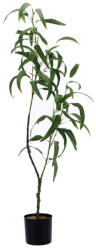 AdTrend Planta artificiala verde in ghiveci IIII 12, 5 x 110 cm (120568D)