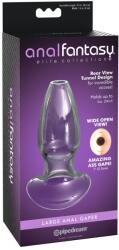 Anal Fantasy Elite Plug anal din sticlă borosilicată cu tunel - Transparent , 10.9 , 2, 5 cm