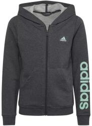 Adidas Hanorac cu glugă pentru copii Adidas (IC3587) - sportechipe