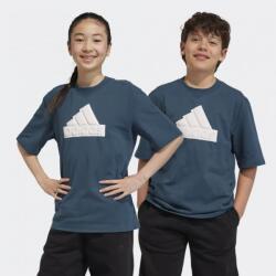 Adidas Tricou din bumbac Adidas FI Logo pentru copii IL6140 152 (IL6140)