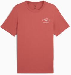 PUMA Class Graphic bumbac tricou barbati 688219 60 XL (688219 60)