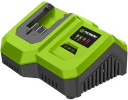 Fieldmann Fduz 79200 20v (50007380)