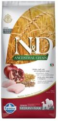 N&D Dog Ancestral Grain csirke, tönköly, zab & gránátalma senior medium & maxi 2x12kg - webshop