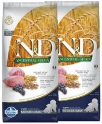 N&D Dog Ancestral Grain bárány, tönköly, zab & áfonya puppy medium & maxi 2x12kg - webshop