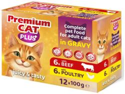 Premium Cat alutasak multipack 12*100g