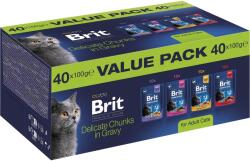 Brit -Brit Premium by Nature Cat Value Pack for Adult Cats 40 pcs - webshop