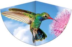 Günther - Kolibri 75x48 cm (1178)