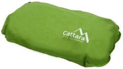 Cattara Green (13320)