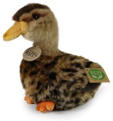 Rappa Jucărie de pluș Rappa Eco friends - Rățușcă maro, 19 cm (250666)