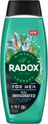 Radox Feel Invigorated 450 ml