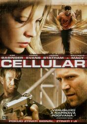 MagicBox Scapă cine poate - DVD (096476)