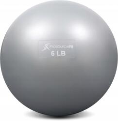 prosourcefit Fitnesz Jóga Rehabilitációs Súlyzó Labda 2, 7KG Szürke (PROSOURCEFIT 2,7KG SZARA)