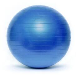 SPARTAN Minge de gimnastică de 55 cm