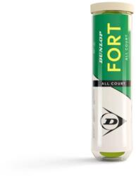 Dunlop Fort All Court mingi tenis de camp
