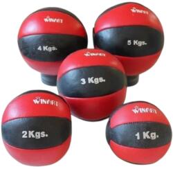 Winart minge medicinală piele 2 kg