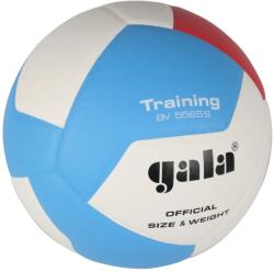 Gala TRAINING 12 minge volei BV5565 S