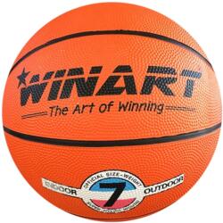 Winart minge baschet 7