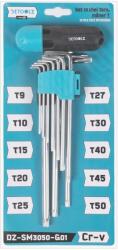 Detoolz Set 10 chei Torx Detoolz cu maner T, otel Cr-V, T9-T50 (DZ-SM3050-G01)