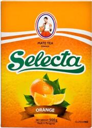 Selecta Naranja Yerba Mate tea 0, 5kg